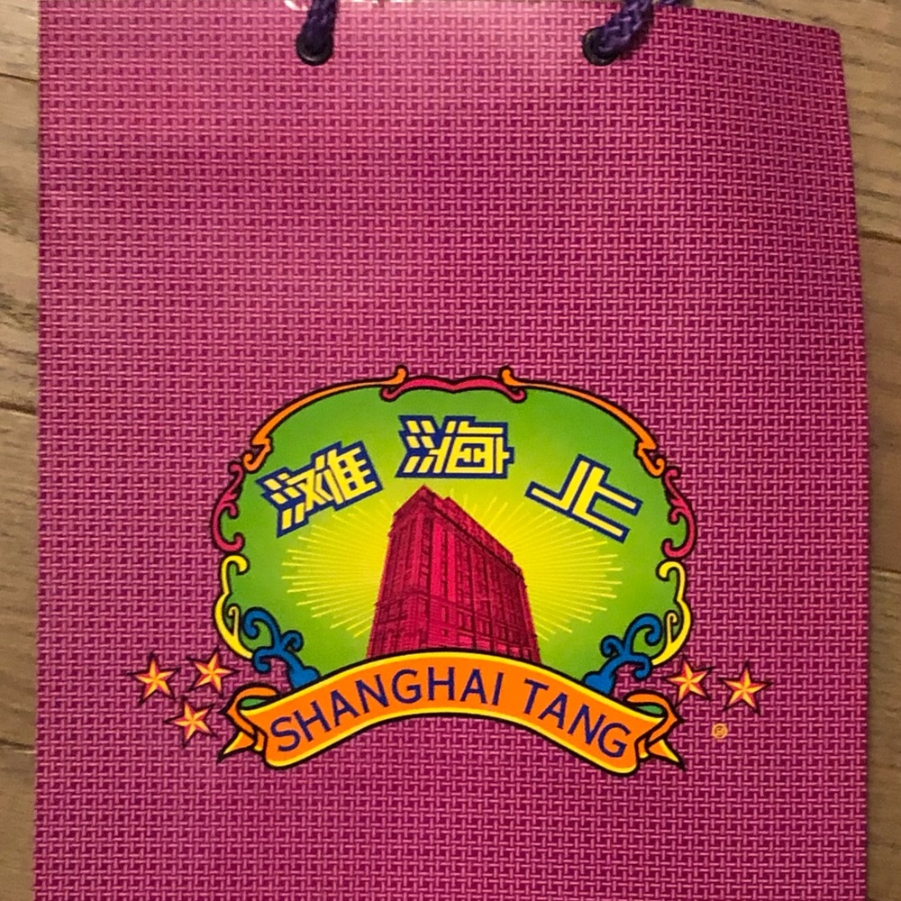 Shanghai Tang NEW RARE Building Print PAPER Bag-Perfect Condition Sticker incl.